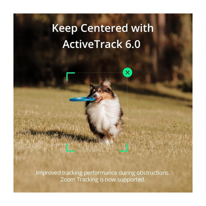 ESTABILIZADOR DJI Osmo Mobile SE  EJES